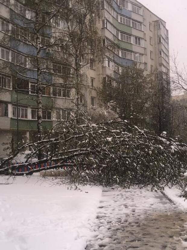 Юрист Виталий Сбитнев: ущерб автомобилю из-за непогоды покрывается полисом КАСКО