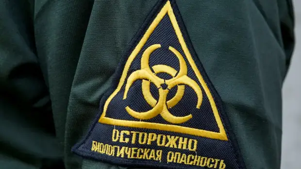 В ВОЗ оценили риск распространения бубонной чумы в России