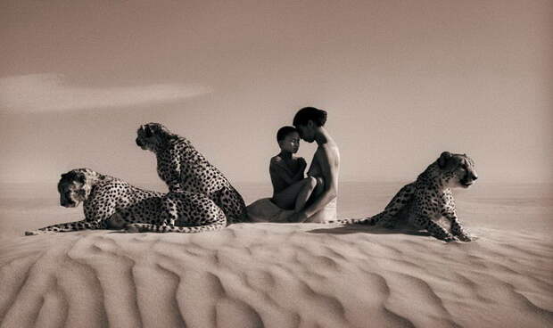 Люди и животные в фотографиях Gregory Colbert Люди и животные в фотографиях Gregory Colbert