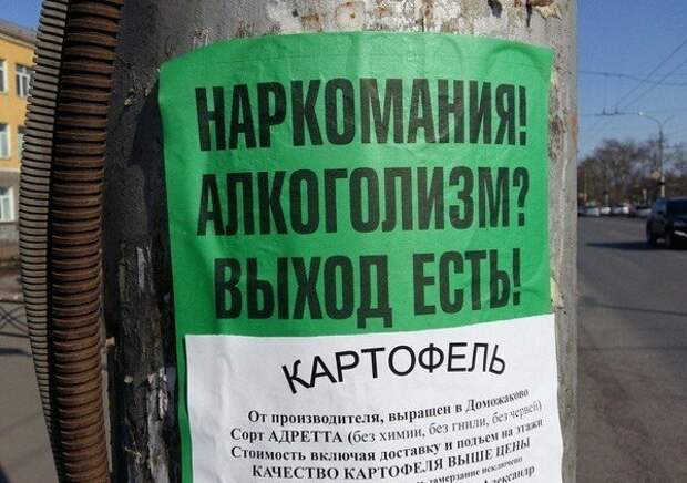 Оказывается, картоха сильно недооценена