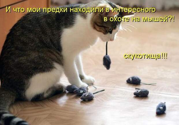 Мысли вслух :)