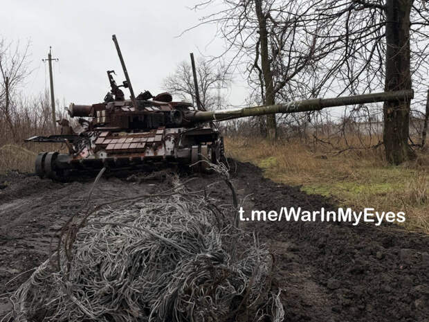 Красногоровка. Февраль 2026