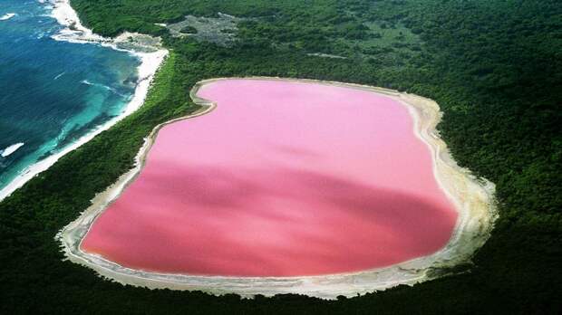 Эксперты дали объяснение, почему озеро Хиллер в Австралии имеет необычный розовый цвет