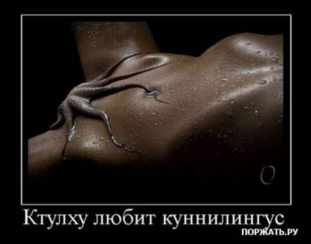 Демотивируемся только прикольными фото сюжетами и надписями.