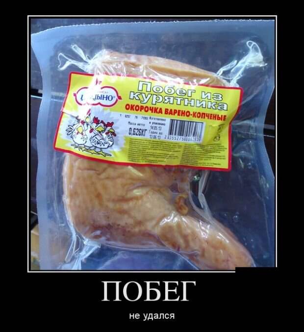 Новые воскресные демотиваторы