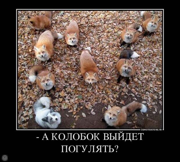 Теперь ты видел всё 20