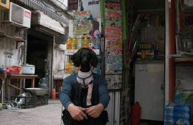 Веселые снимки, сделанные в самый подходящий момент (50 фото)