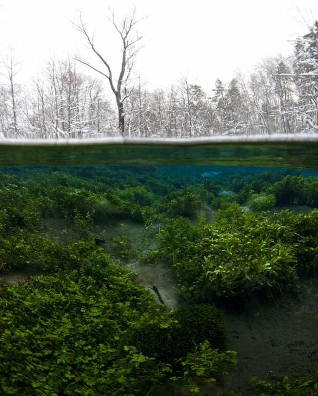 Завораживающие фотографии без фотошопа