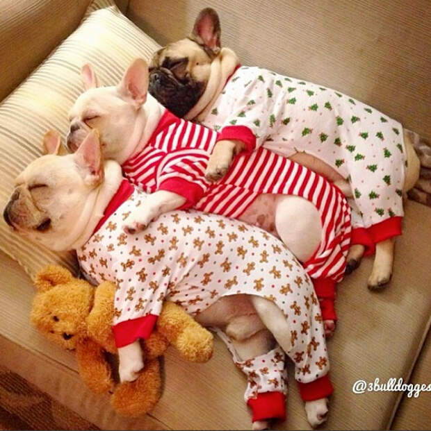 This masterful spooning situation.