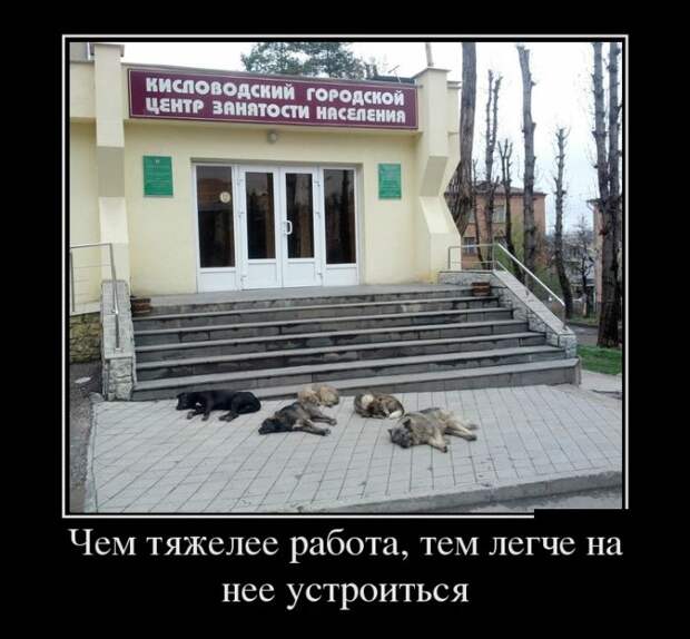 Демотиваторы демотиваторы, юмор