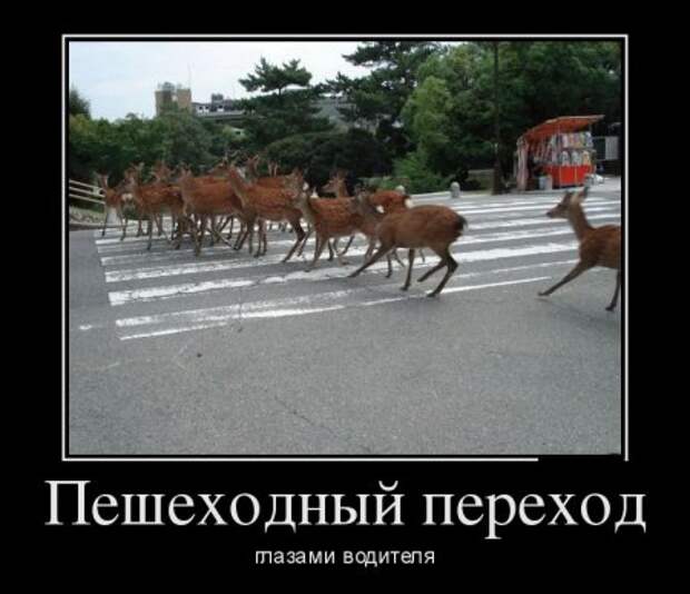 Демотиваторы, прикольно люди живут.  
