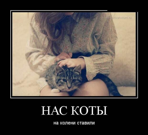 Демотиваторы демотиваторы, прикол, смех, юмор