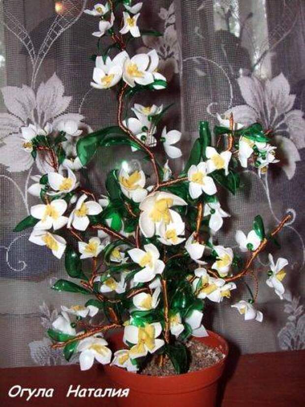 b2ap3_thumbnail_DSCF3759-01.jpg b2ap3_thumbnail_DSCF3759-01.jpg