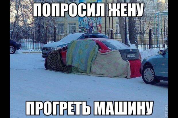 Просто картинки хорошего настроения нарочно не придумаешь, юмор