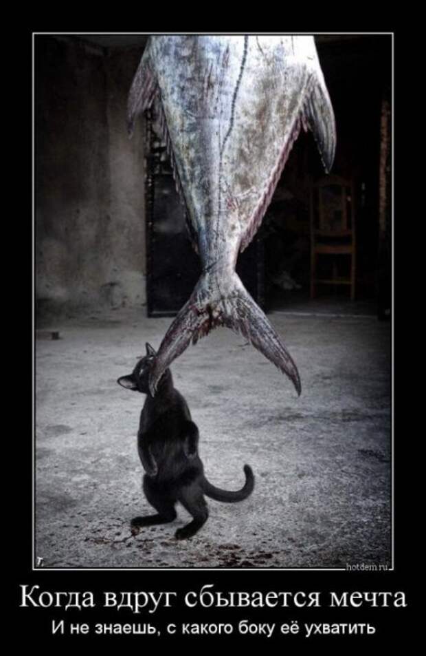 Лучшие демотиваторы пятницы