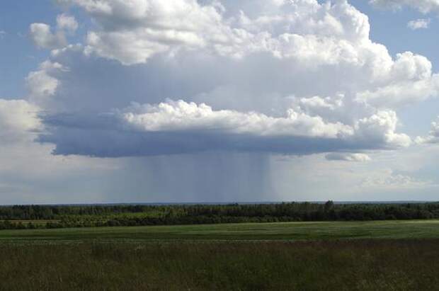 Число готовых участков для многодетных семей в Ленобласти достигло 3,9 тысячи