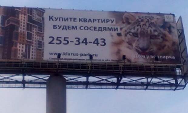 В нашем доме поселился замечательный сосед