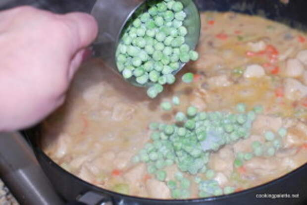 chicken pot pie (18)