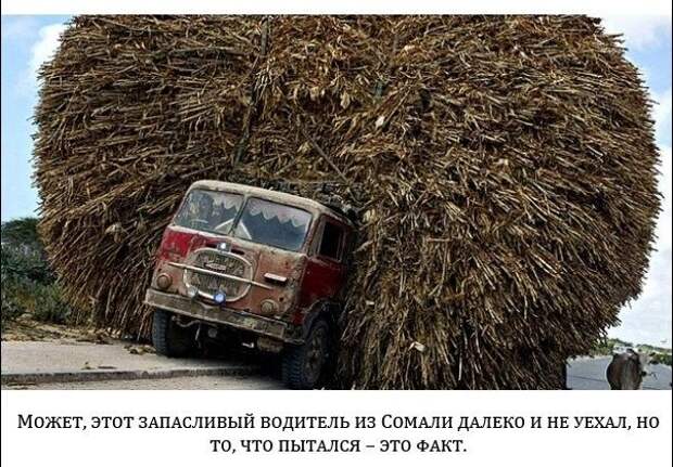 Настоящие снимки, которые не были обработаны (20 фото)