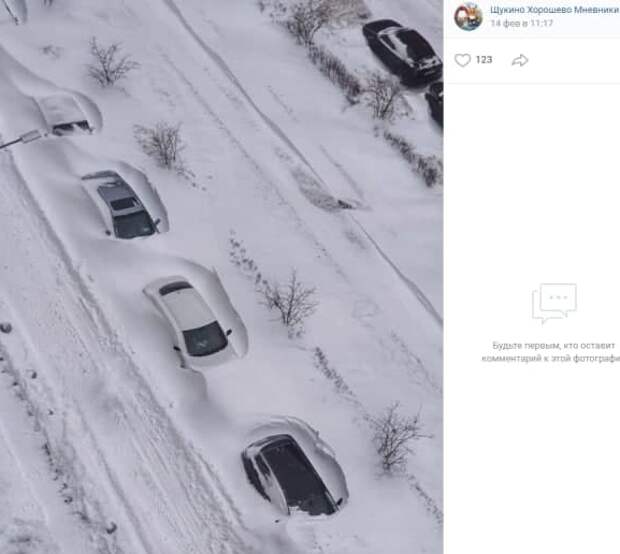 Фото дня: «авто-подснежники»