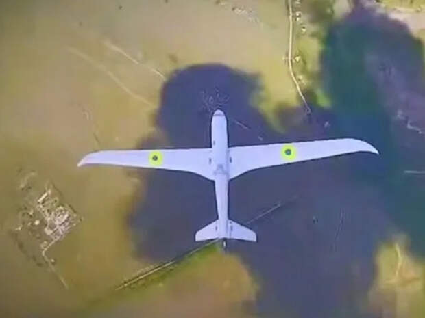 Российский «Горыныч» победил 11 украинских БПЛА, сняв бой на видео