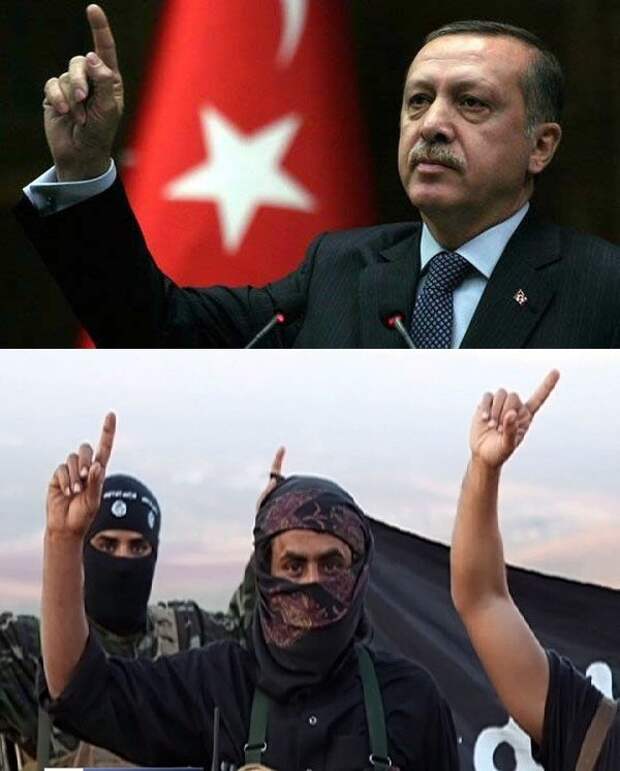 erdogan-jabhat al-Nusra.jpg