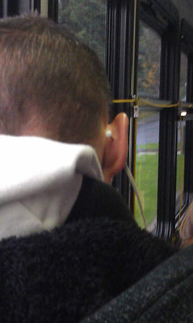 Веселые снимки, сделанные в самый подходящий момент (50 фото)