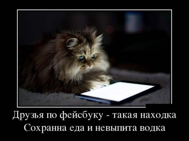 Сборник демотивационных приколов