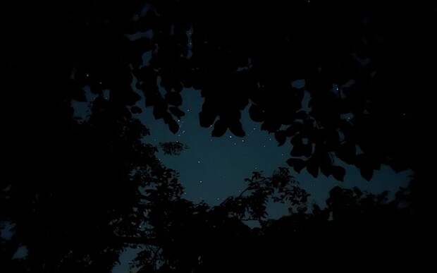 photo_2025-08-27_12-10-02.jpg photo_2025-08-27_12-10-02.jpg