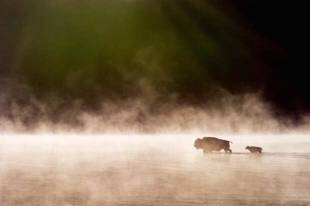 Лучшие фотографии чарующей природы на конкурсе 2015 It's Amazing Out There Photo Contest