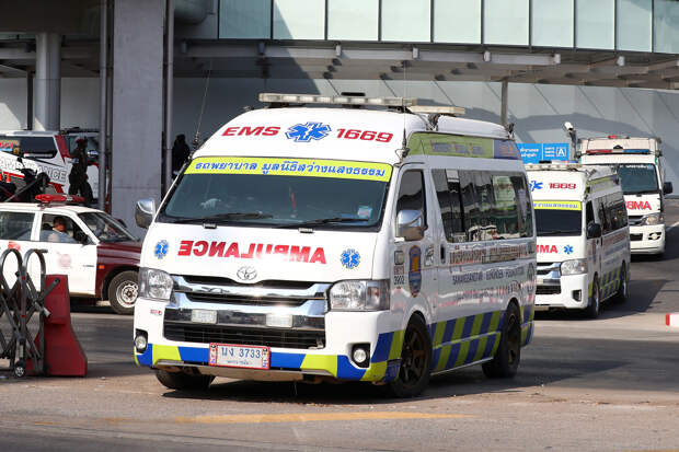 Россиянка получила травмы из-за птицы в Таиланде и задолжала за лечение сотни тысяч рублей