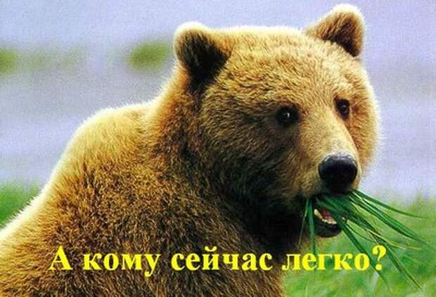 komu_lrgkob23.jpg