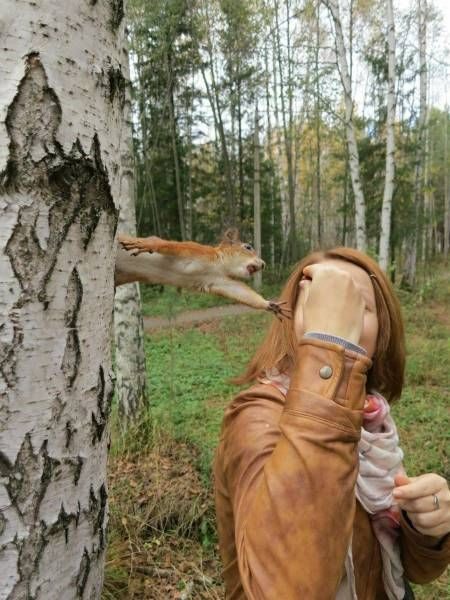 Супершедевры, которые сняты в нужный момент. Жмите лайк!