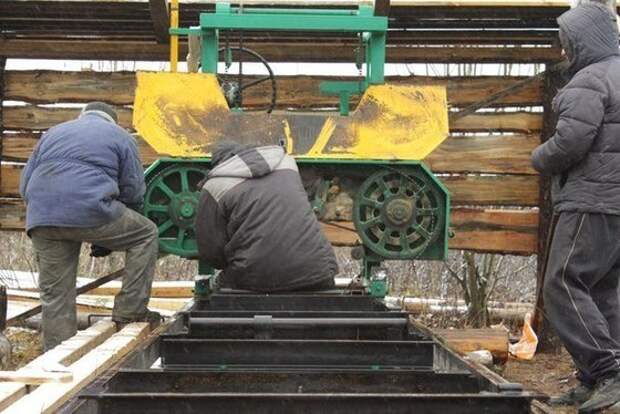 пилорама: Органические фермы, экофермы, городские фермы,