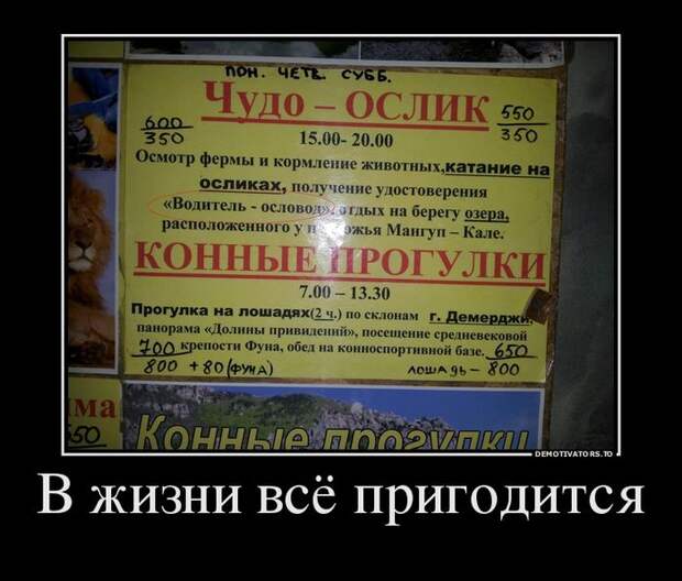 Демотиваторы демотиваторы, прикол, смех, юмор
