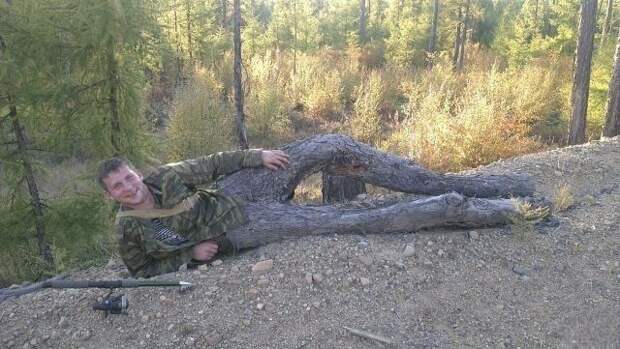 Показалось кадр, показалось