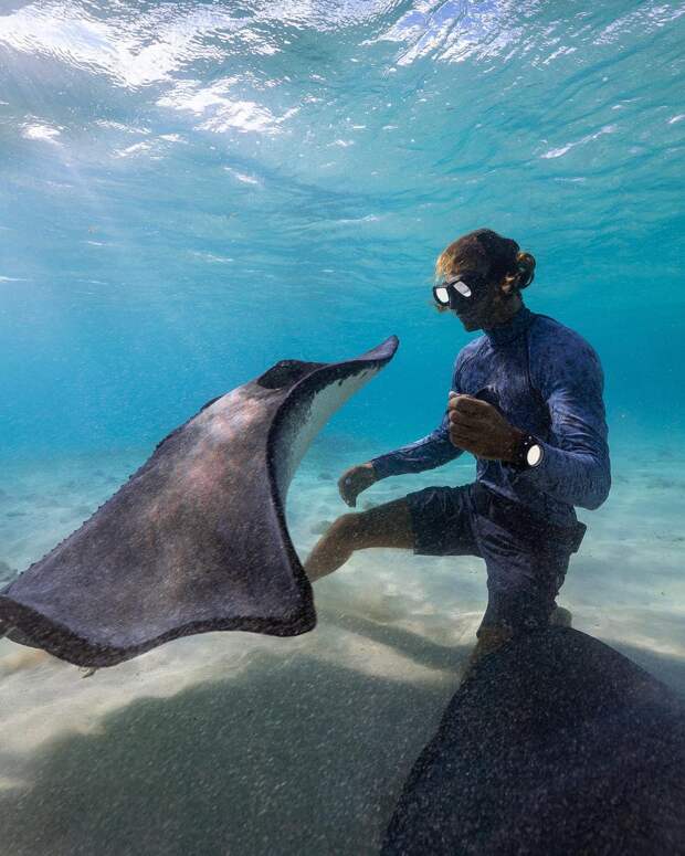 Андре Масгроув (André Musgrove) и его невероятные подводные снимки