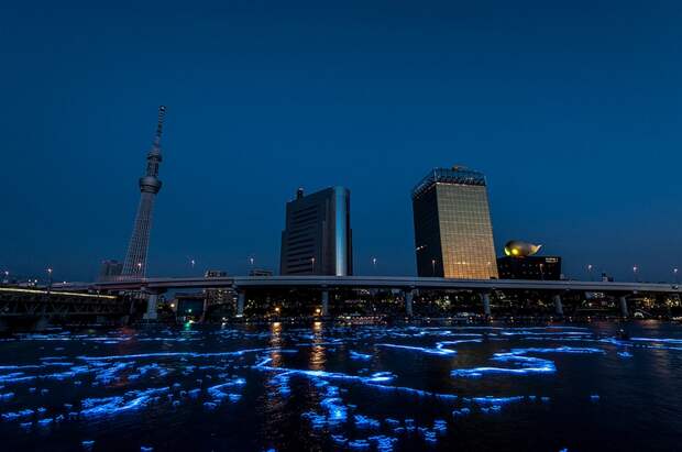 81 100.000 Голубые Шары, Плавающие Вниз по Реке В Токио