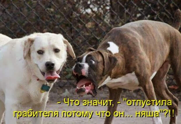 49c671e3716e25928c7ae11b144_prev