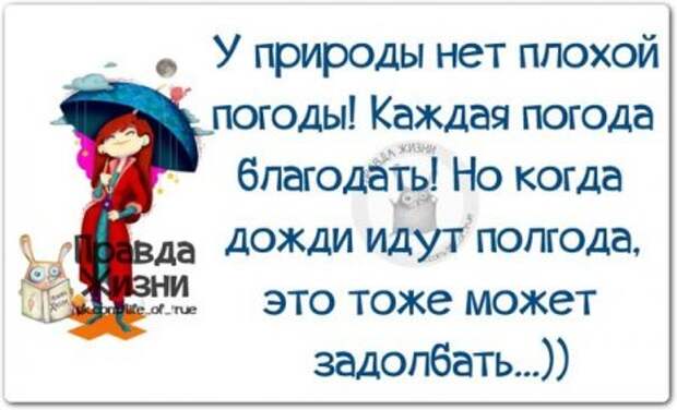 Прикольные "правдивости"