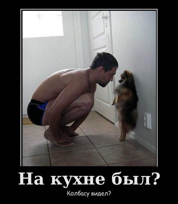 Демотиваторы (32 фото)