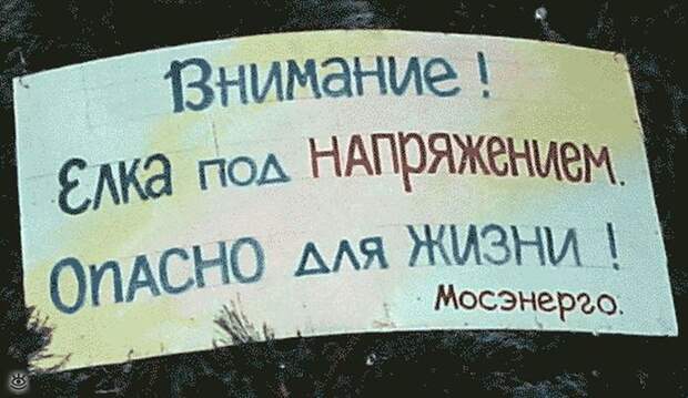 Забавные казусы, связанные с новогодними праздниками 2