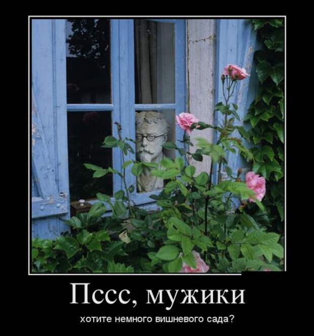 Демотиваторы демотиваторы, юмор