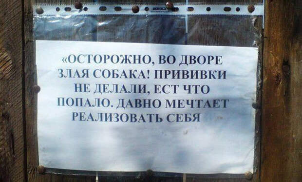 Звучит убедительно: 20 остроумных табличек собака, табличка, юмор