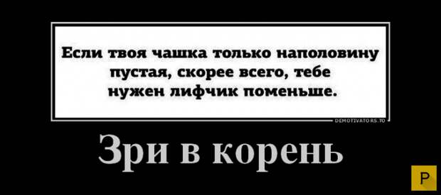 Зри в корень  (32 фото)