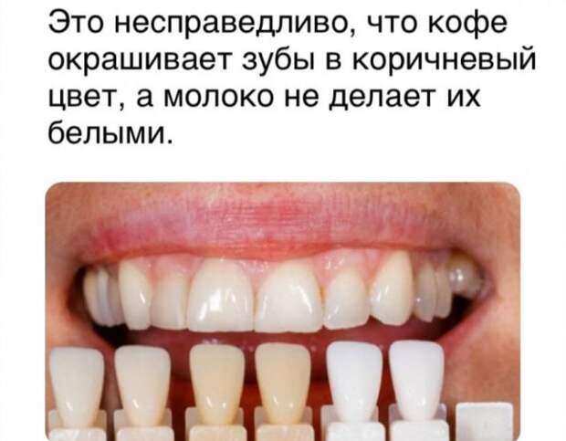 Подборка забавных, интересных и философских мыслей пользователей