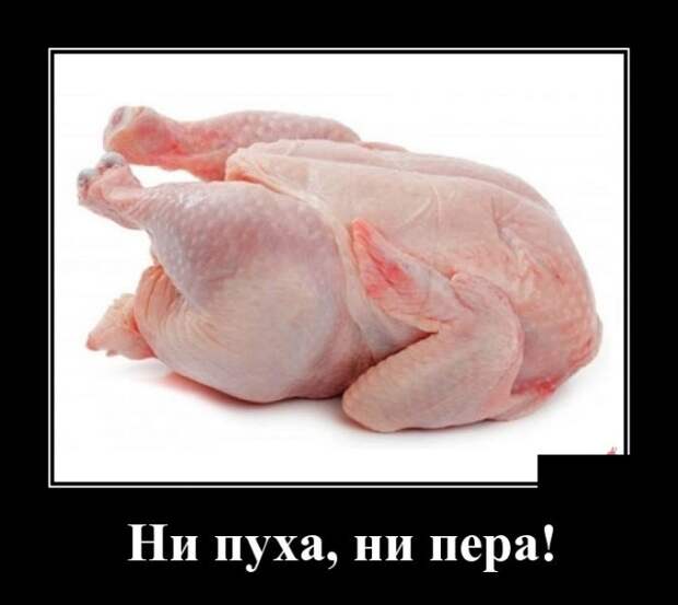 Демотиваторы (30 фото)
