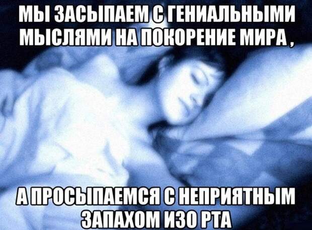 Смешные картинки с подписями катинки, прикол, юмор