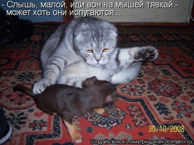 Мысли вслух :)