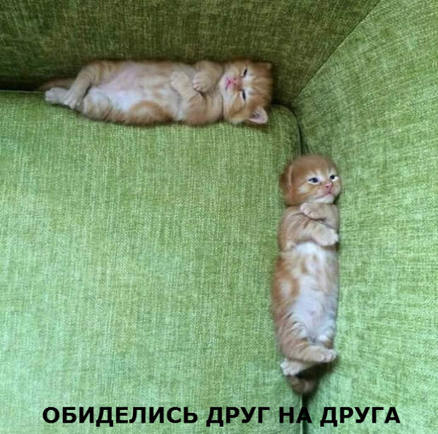 3832309_original (600x595, 337Kb)